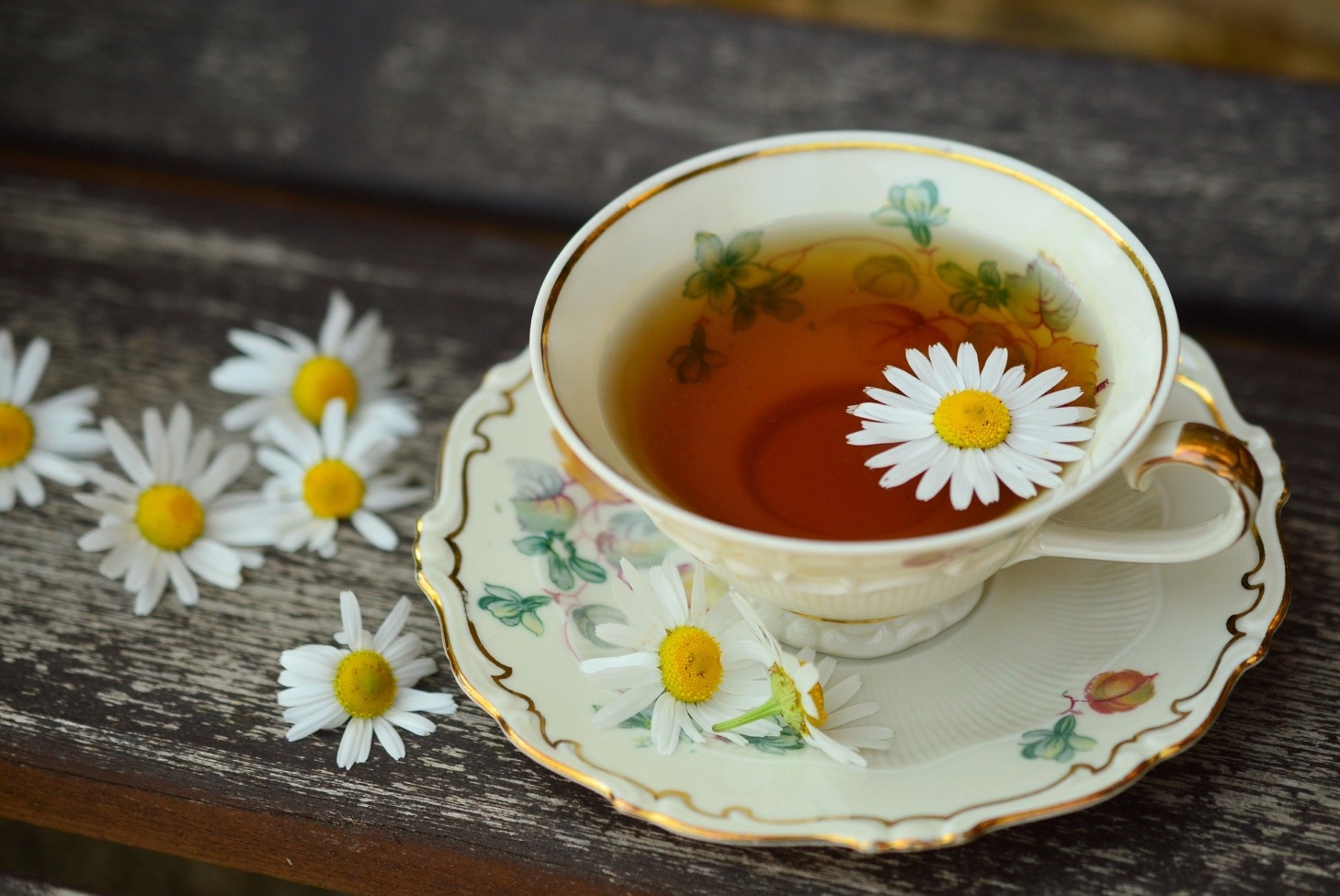 Herbal Medicine Chamomile